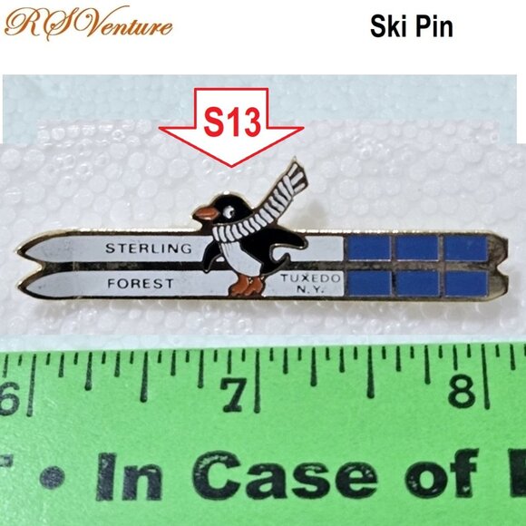 Other - Buy one choose one FREE, Vintage Sterling Forest Ski Area Pin